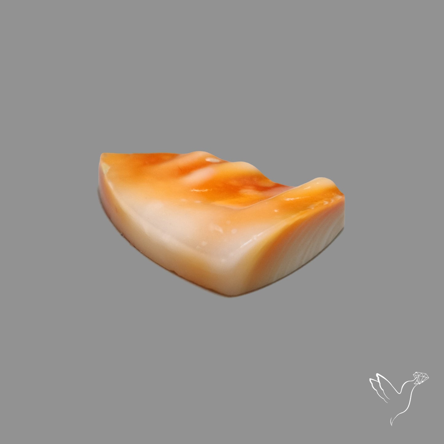 Spiny Oyster Shell