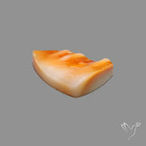 Spiny Oyster Shell