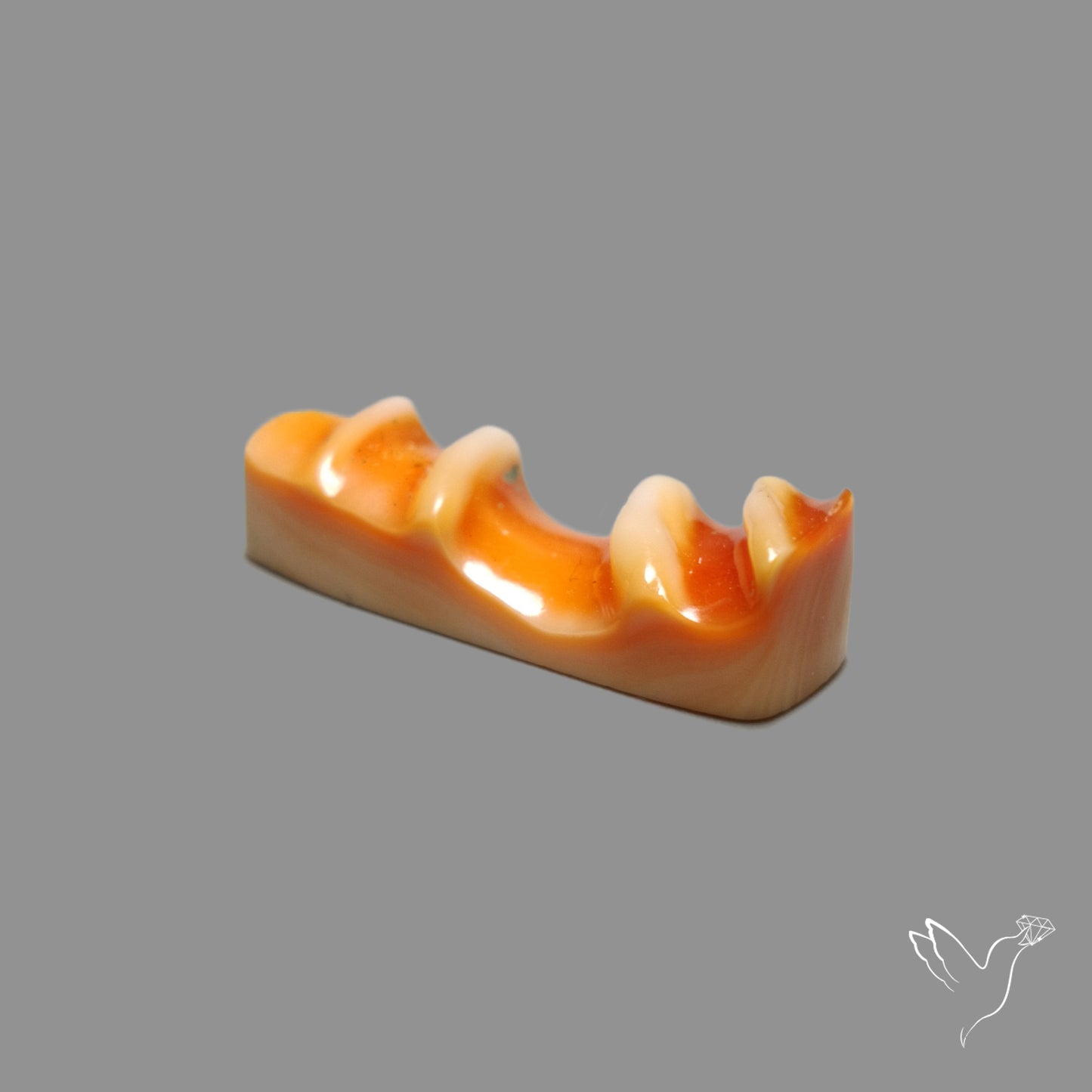 Spiny Oyster Shell