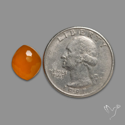 Honeycomb Cut Carnelian Agate