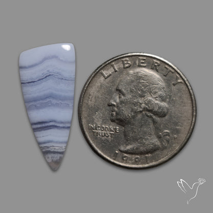 Blue Lace Agate Cabochon