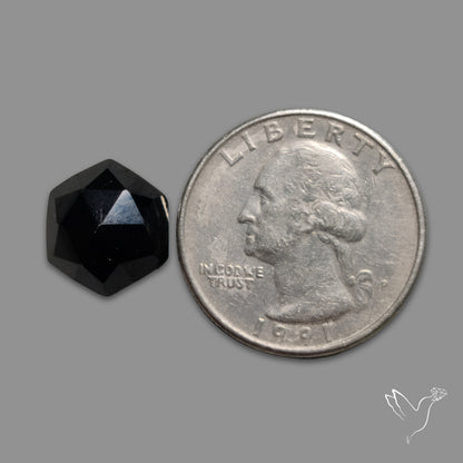 Rose Cut Black Spinel