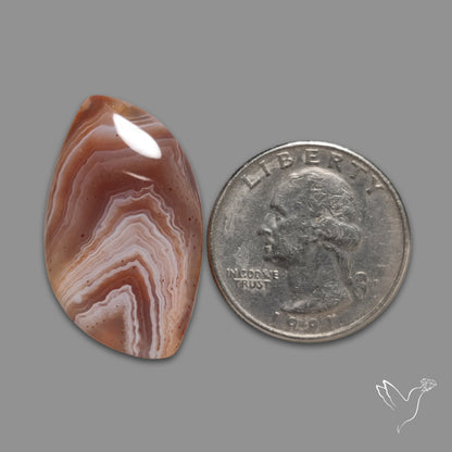 Botswana Agate Cabochon