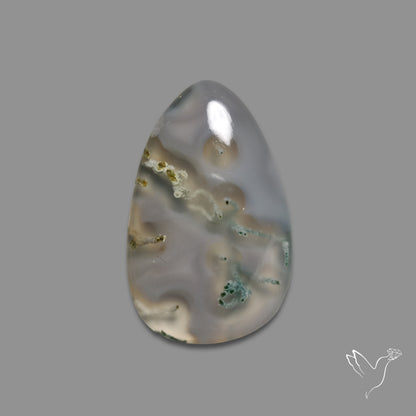 White Horse Canyon Moss Agate Cabochon