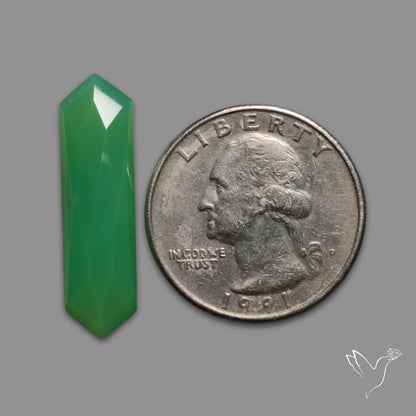 Rose Cut Gemmy Chrysoprase