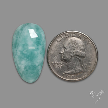 Rose Cut Peruvian Amazonite