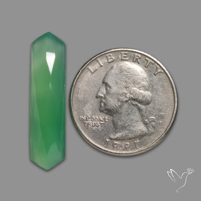 Rose Cut Gemmy Chrysoprase