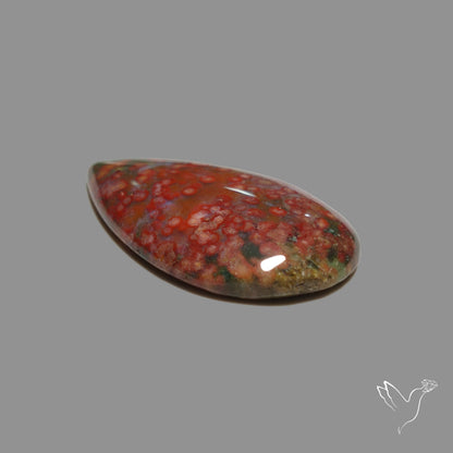 Orbicular Ocean Jasper