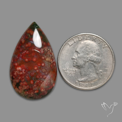 Orbicular Ocean Jasper