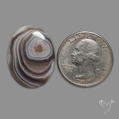 Botswana Agate Cabochon