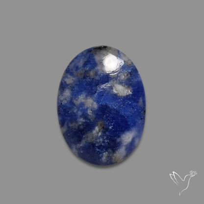 Rare Gem Sodalite Cabochon