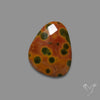 Rose Cut Orbicular Ocean Jasper