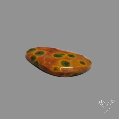 Rose Cut Orbicular Ocean Jasper