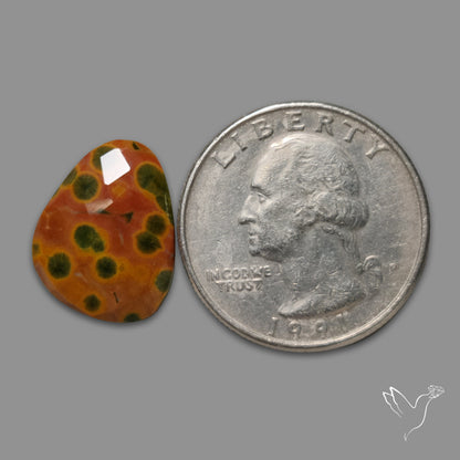 Rose Cut Orbicular Ocean Jasper