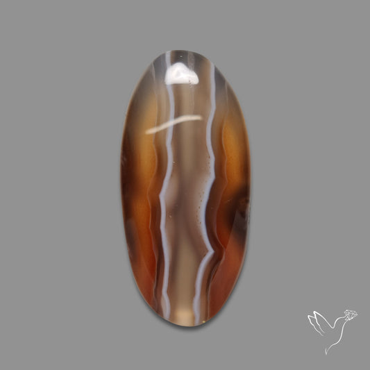 Montana Agate Cabochon