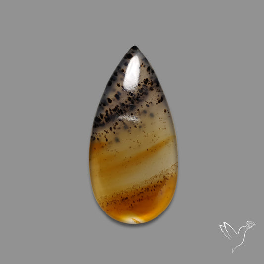 Montana Agate Cabochon