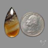 Montana Agate Cabochon