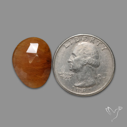 Rose Cut Rabbit Hair Rutilated Quartz