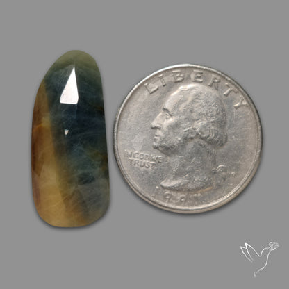 Rose Cut Sapphire Bicolor Opaque