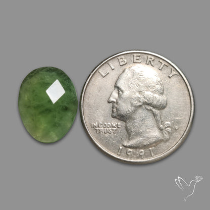 Checkerboard Cut Green Fluorite
