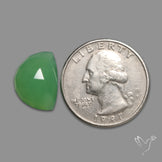 Rose Cut Gemmy Chrysoprase