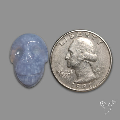 Blue Lace Agate Skull Carving