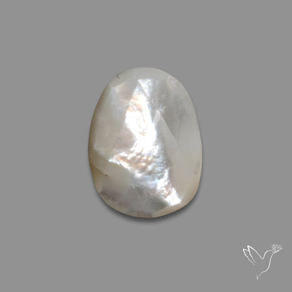 Rose Cut Mother Of Pearl