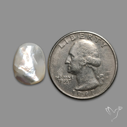 Rose Cut Mother Of Pearl