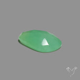 Rose Cut Gemmy Chrysoprase