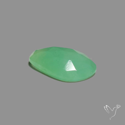 Rose Cut Gemmy Chrysoprase