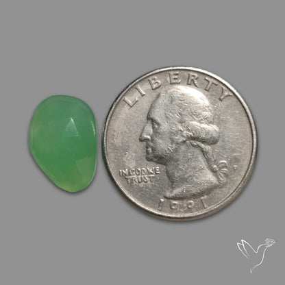 Rose Cut Gemmy Chrysoprase