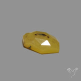 Rose Cut Yellow Dendritic Agate