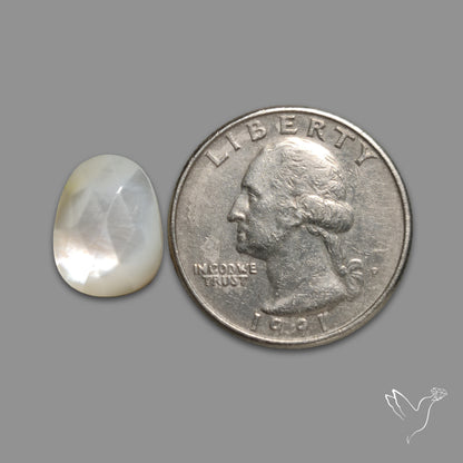 Rose Cut Mother Of Pearl
