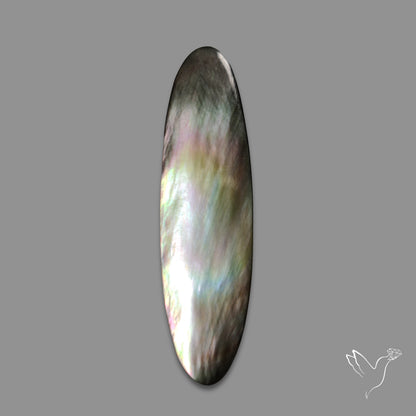 Black Mother Of Pearl