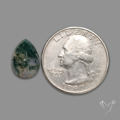 Rose Cut Moss Agate