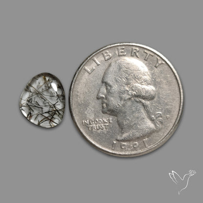 Black Tourmalinated Quartz