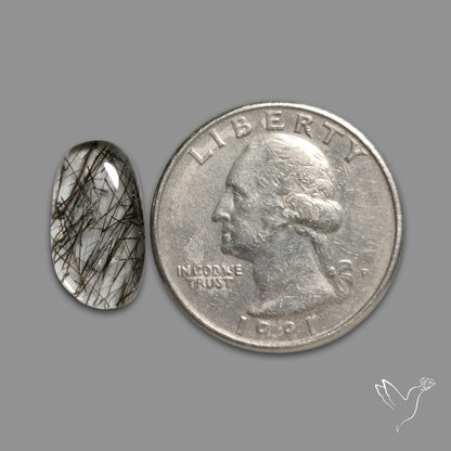 Black Tourmalinated Quartz