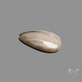 Rose Cut Flint Stone