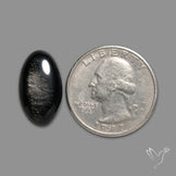 Silversheen Obsidian