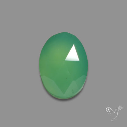 Rose Cut Gemmy Chrysoprase