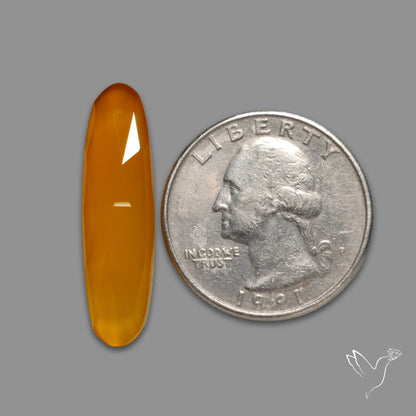 Rose Cut Carnelian Agate