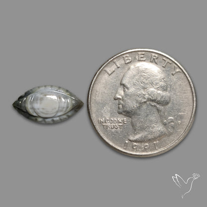 Owyhee Blue Opal Evil Eye Carving