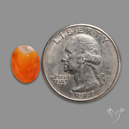 Rose Cut Carnelian Agate