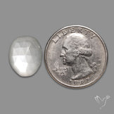 Rose Cut White Moonstone