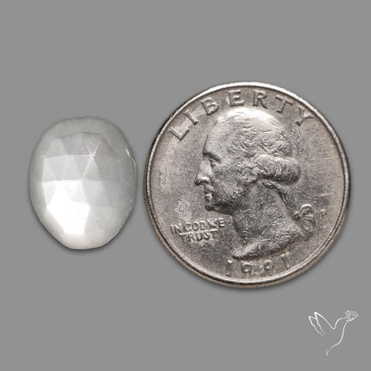 Rose Cut White Moonstone