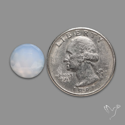 Rose Cut Opalite