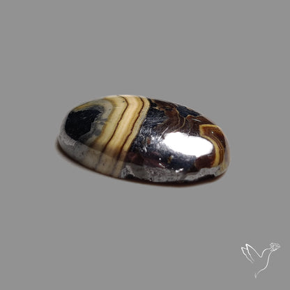 Schalenblende