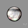 Tahitian Rainbow Mother Of Pearl