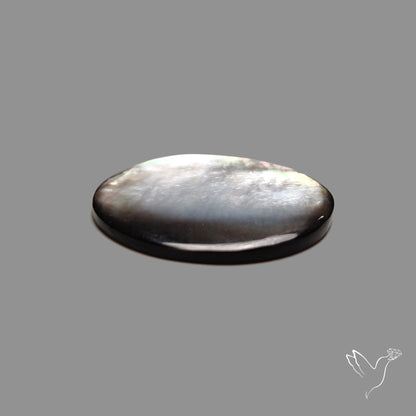 Tahitian Rainbow Mother Of Pearl
