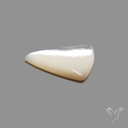 Mother Of Pearl Cabochon